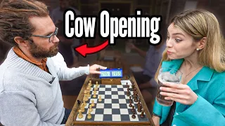 Opponent Plays THE COW OPENING In Official Chess Tournament