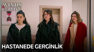 Böyle yaşayacağımıza ölelim daha iyi! | Rüzgarlı Tepe 13. Bölüm