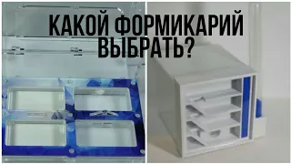 Какой формикарий выбрать?