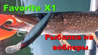 Favorite X1. Тест с воблерами. Рыбалка на воблеры