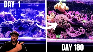 FLUVAL FLEX 2.0 - 6 Month Update - Intense Summer, Coral Growth, Coraline Explosion 4K - 2024