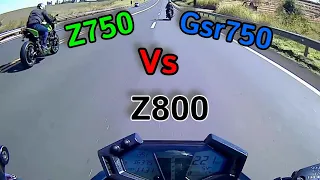 Z750 vs Z800 vs Gsr750!!!