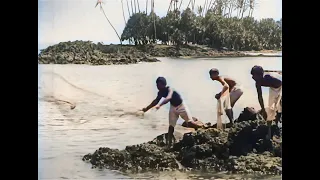 The beautiful Hawaiian islands in 1906 in color! [AI enhanced & colorized]