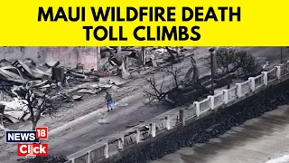 Hawaii's Maui Wildfires death toll reaches 55; A look at impact of swift-burning blazes | News18