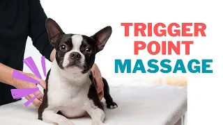 Massage for Dogs - Finding the Trigger Points