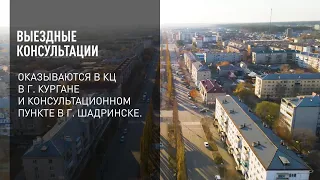 Выездные консультации