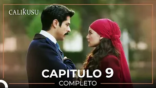 Calikusu 9 Capítulo