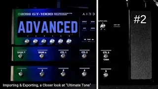 ADVANCED BOSS GT-1000 #2:  (Import & Export Files)