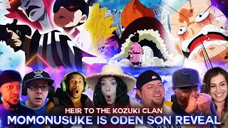 Momonosuke is Oden's Son Revealed ! Heir To The Kozuki Clan ! Reaction Mashup