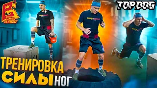 Тренировка силы ног для скорости футворка / Упражнения от бойца Top Dog Евгения "Шиши" Шишкова