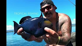 Hawaii Fishing On The Hilo Breakwall Multi Spieces Day