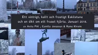 Ett vintrigt Eskilstuna & en dikt, Sfi