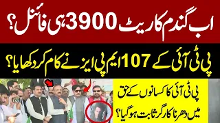 Wheat Price In Pakistan 2024 | Wheat Price Latest Update | New Rate|PTI Protest In Favor Of Farmers