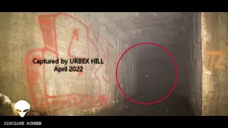 Insectoid creatures lurking in abandoned tunnel system? Filmed by an urban explorer.