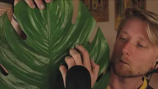 ASMR with The Big Green Leaf (Tapping, Scratching, and Sticky Squishes)