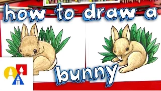 How To Draw A Realistic Bunny