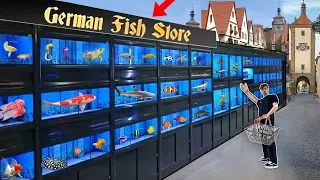 GERMANY EXOTIC FISH STORE TOUR!