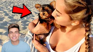 SURPRISING MY GIRLFRIEND WITH A NEW PUPPY!! **SHE CRIED**