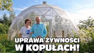 Permaculture vegetables and fruits in domes like from "The Martian" - Angel Gardens, Poland, part 2