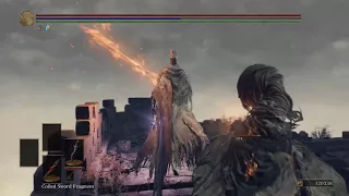 Dark Souls 3 Longest Battle Ever - Pontiff Sulyvahn vs Nameless King - Boss vs Boss Scenario Battle