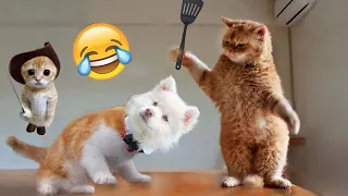 FunBee😁TRY NOT TO LAUGH 😆 Best Funny Videos Compilation 😂😁😆 Memes