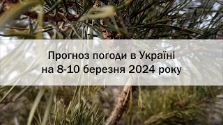 Прогноз погоди в Україні на 8-10 березня 2024 року