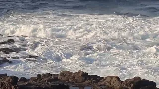 Tenerife kostra velryby pláž na severozápadě