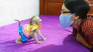 Most Cutest Zuji Scare Not Remember Mom & Negotiate When Mom Wear Mask