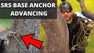 Advancing a Tree Using A SRS Base Anchor, SRS Tree Climbing