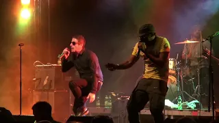 Dub Pistols - Running From the Thoughts (Freedom Sounds Festival)