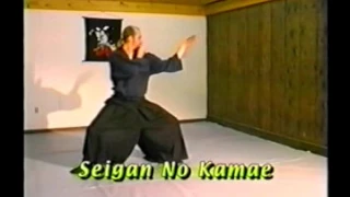 Ninpo Taijutsu Basics