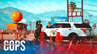 COPS SHOW S01E02: ТАЙНОЕ ПРАВИТЕЛЬСТВО | GTA 5 ROLEPLAY (YDDY:RP)