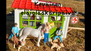 keväinen eläinlääkäripäivä (ja Sumun tarina nuoruudesta)