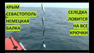 Рыбалка на Черном море. Севастополь. Селедка на все крючки