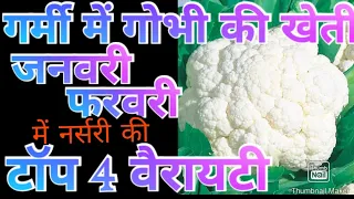 जनवरी फरवरी में गोभी की खेती।। january Feburary month me cauliflower gobhi ki variety।hybrid variety