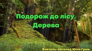 Подорож до лісу | Дерева | Щебетунчики