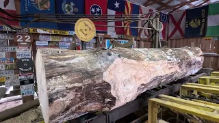 sawing a ugly white pine log for wood boxes # 527