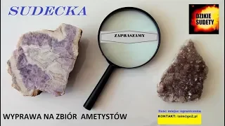 AMETYSTY z cyklu wycieczki na minerały