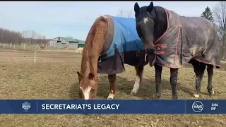 Secretariat’s Offspring: The legacy of ‘Big Red’