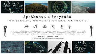 Spotkania z Przyrodą #28 - fotograf Michał Ludwiczak - lustrzanka czy bezlusterkowiec, raw czy jpg?