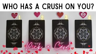 Who Has A Crush On You? 😍💕 PICK A CARD | Timeless Tarot Love Reading 🌹