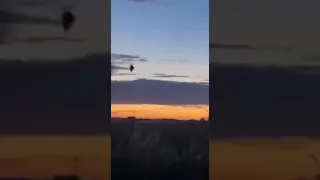 Jellyfish UFO or Similar In Poland?