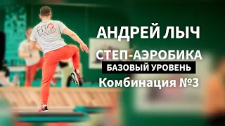 Лыч Андрей. Степ-аэробика базового уровня. Комбинация №3