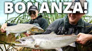 Insane Salmon And Seatrout Fishing - Once In A Lifetime Experience! (Fly & Spin Fishing)