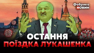 💥П'ЯНИХ: Лукашенко в КОНВУЛЬСІЯХ приїхав до МОСКВИ – Опухлий бурмоче про останню загрозу