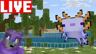 Trying to get the RARE BLUE Minecraft Axolotl!!