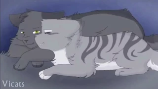Коты Воители - Крутобок и Серебрянка.(Graystripe and Silverstream)