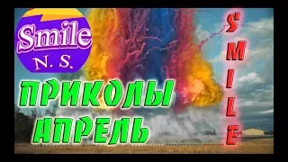 Прикольчики Апрель Чудики из сети Приколюхи коты Угар юмор Новые приколы # 19