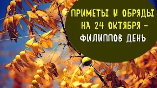 народные приметы | обряды | заговоры на 24 октября – филиппов день