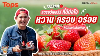 เชฟบุ๊คแจกสูตร ม้าฮ่อ จากสตรอว์เบอร์รี  สะเมิง จ.เชียงใหม่ l Tops Book อร่อยปักหมุด EP.48